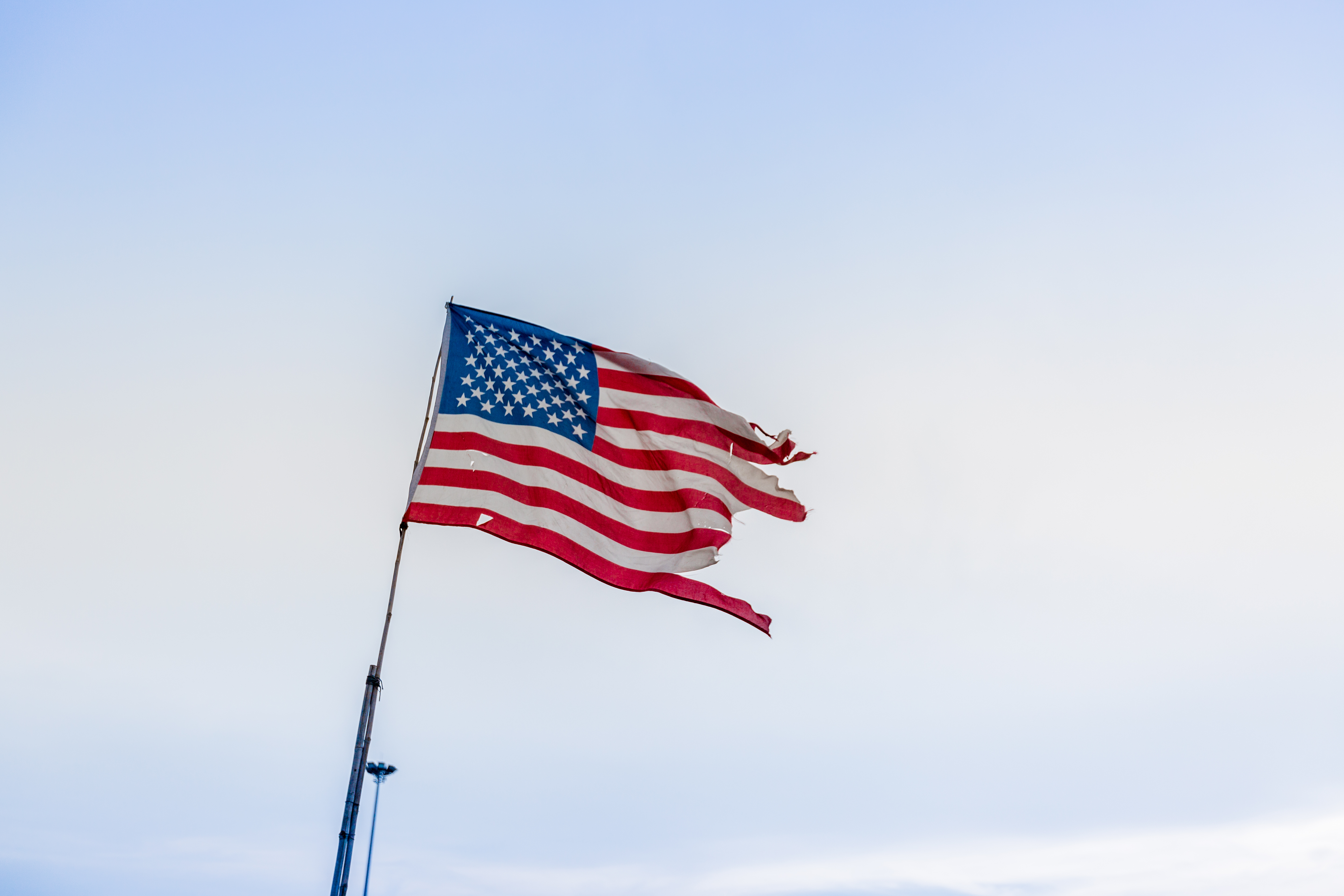 Losing our democracy – day 100
